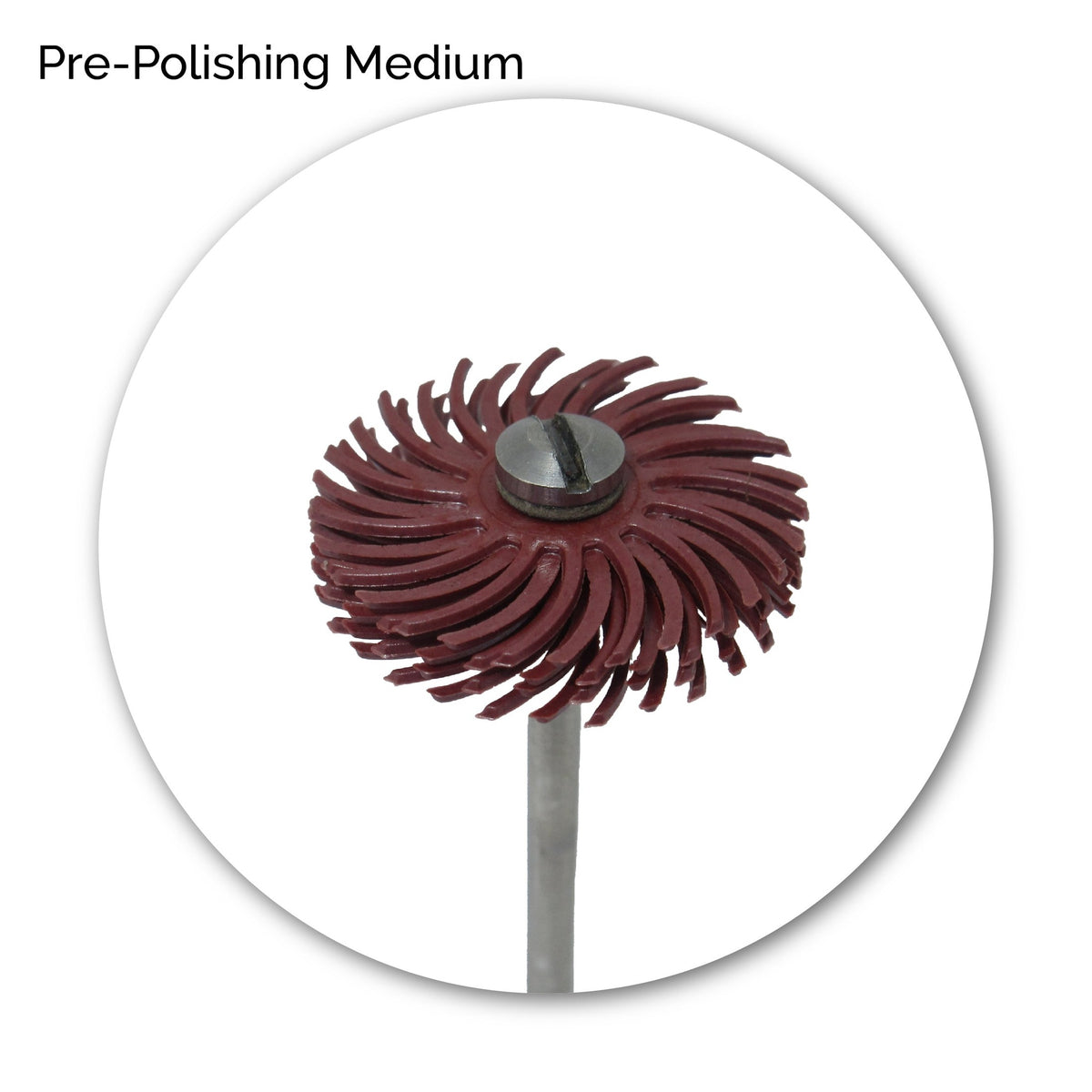 3M® Radial Bristle Discs - 19MM - Standard
