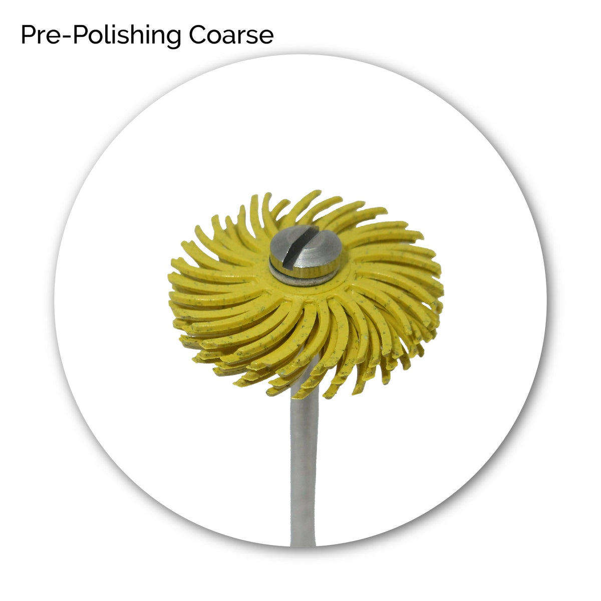 3M® Radial Bristle Discs - 19MM - Standard
