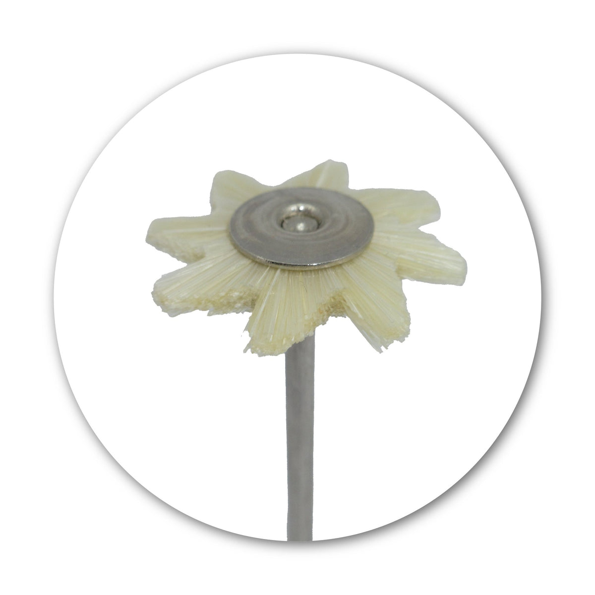 Mounted Bristle Hair Brush - White