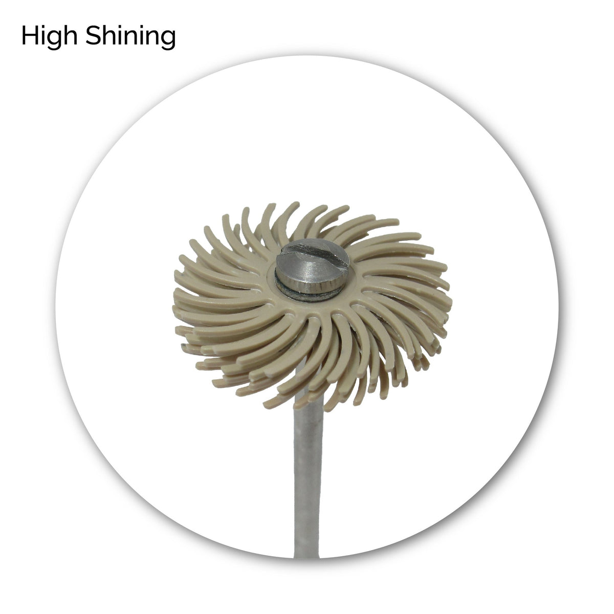 3M® Radial Bristle Discs - 19MM - Standard