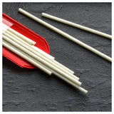 Spare Brushes, glassfibre STYLOFORM