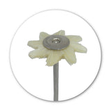 Mounted Bristle Hair Brush - White