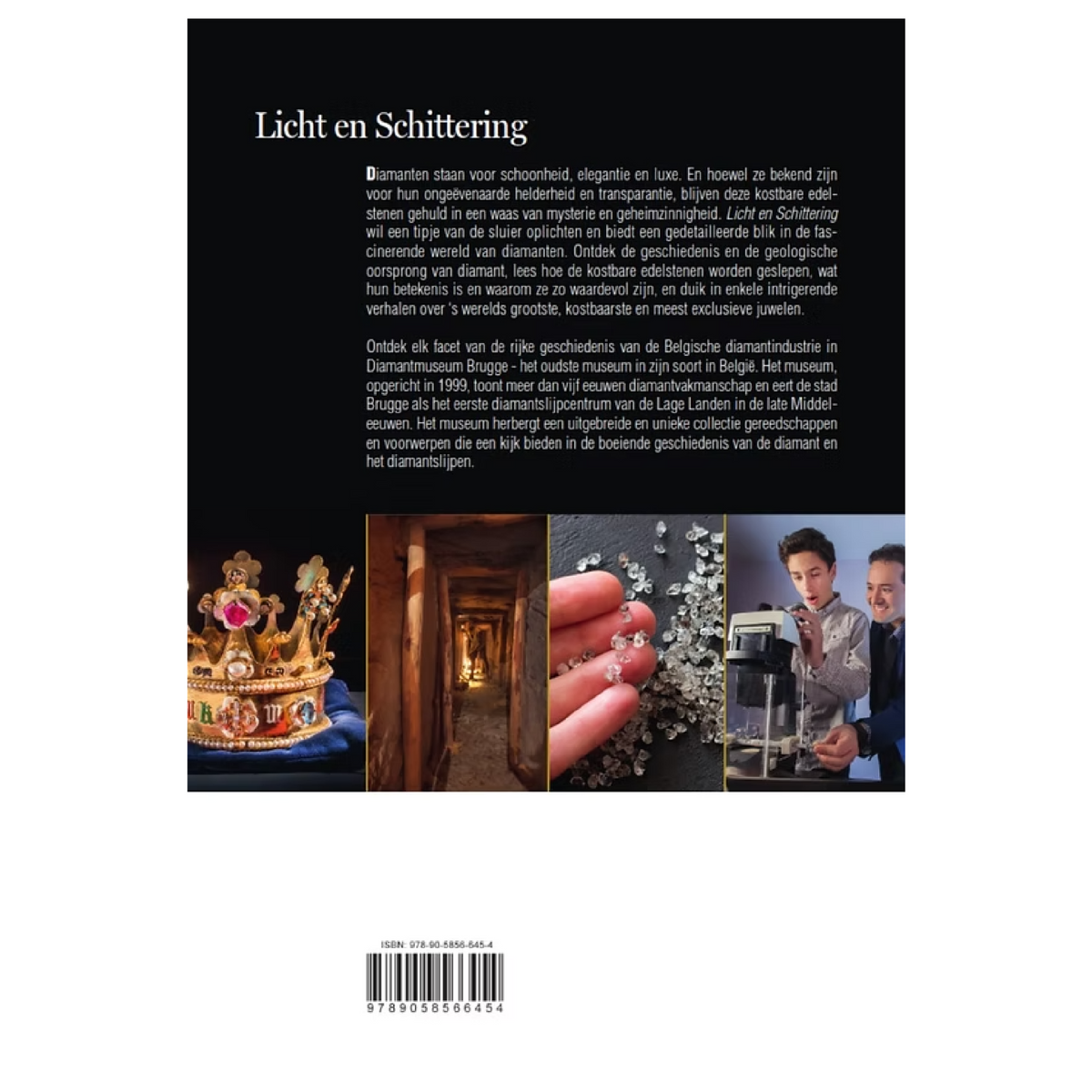 Light & Brilliance - Diamond Museum Bruges - English, Dutch & French