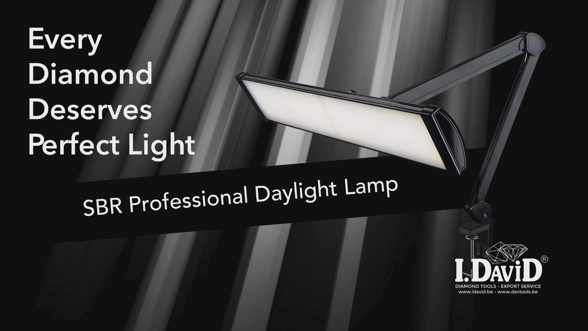 Lampada Professionale a Luce diurna SBR