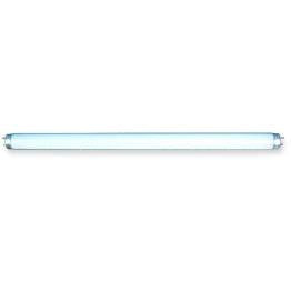 Extra Tube Daylight